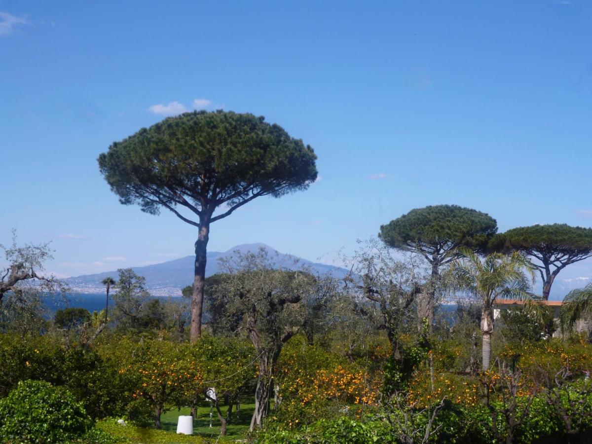 Angelina Suite B&B - Sorrento Centro Екстериор снимка